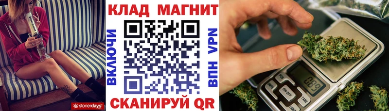 Магазины продажи наркотиков Бабаево Бошки Шишки  Cocaine  Alpha-PVP  Мефедрон 
