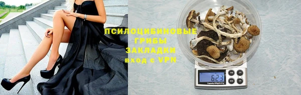 хмурый Алзамай