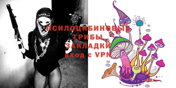 хмурый Алзамай