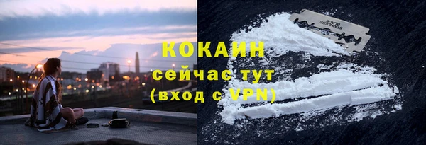 хмурый Алзамай