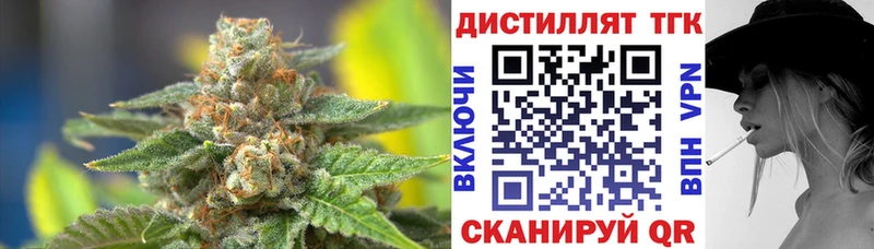 даркнет сайт Бабаево Дистиллят ТГК THC oil