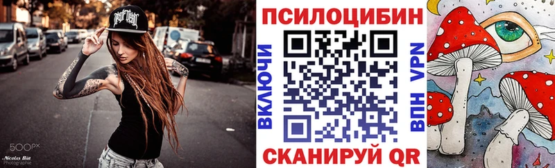 наркота  Бабаево  Псилоцибиновые грибы прущие грибы 